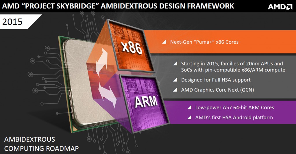 amd_skybridge