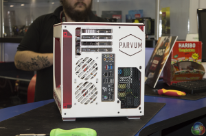 Parvum Cases 2