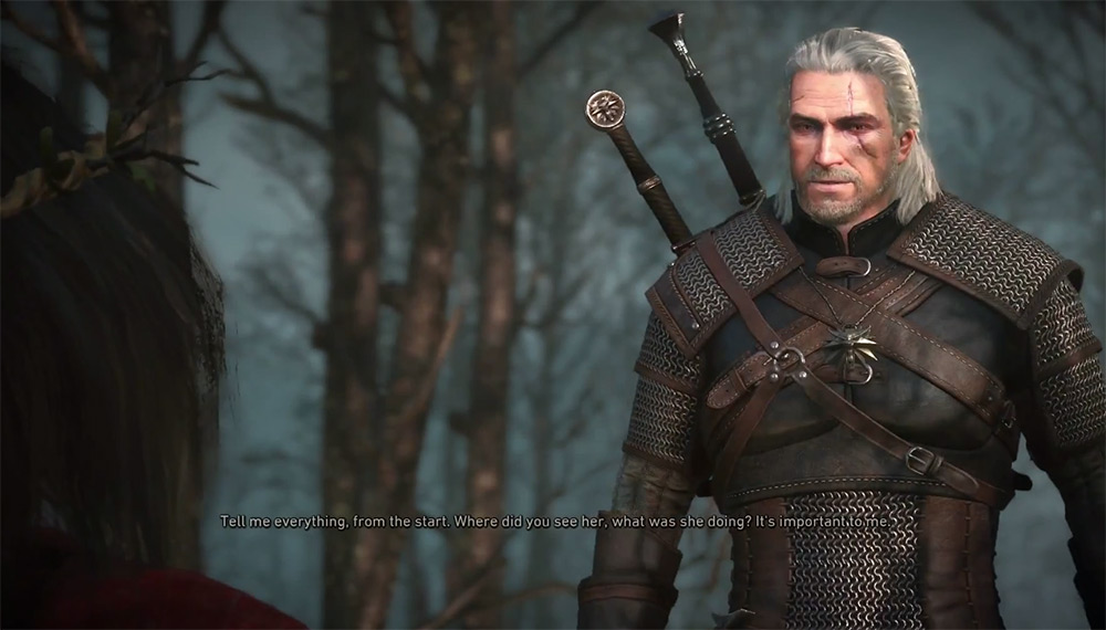 Witcher 3 Upgrade Armorl