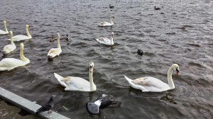 P_20150311_150811_HDR