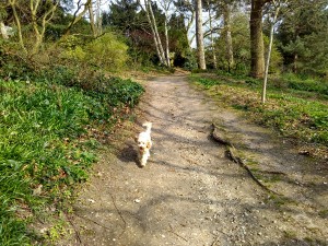 IMG_20150408_153910_HDR