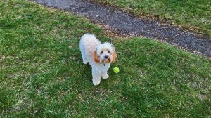 P_20150328_165214_HDR