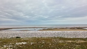 P_20150402_152734_HDR