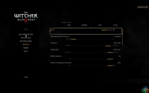 witcher3 2015-05-27 11-55-04-36