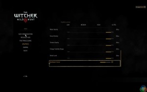 witcher3 2015-05-27 11-55-10-17