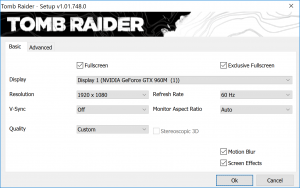 TombRaider_BasicSettings