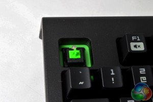 razer black widow switch