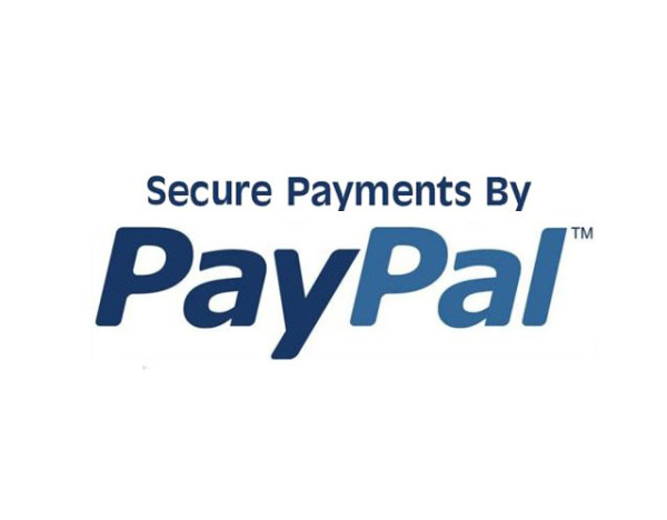 secure payments paypal logo