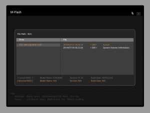 msi_snapshot-m-flash