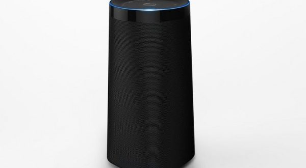 dingdong smart speaker