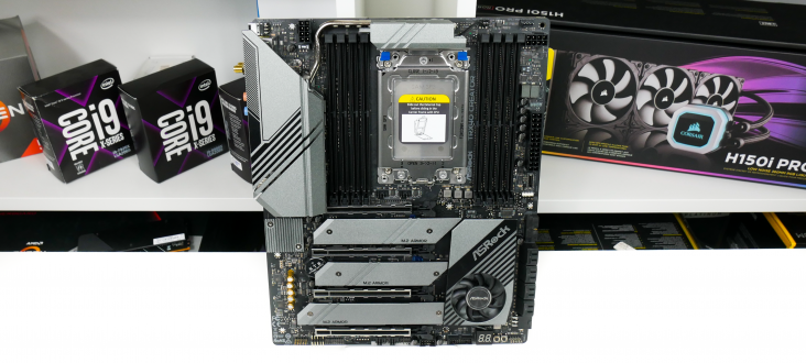 P1040361-732x330.png