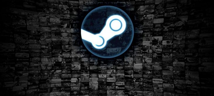 Steam-Header-732x330.jpeg
