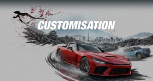 Customisation Playground Games